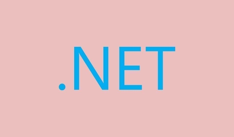 hire .net developers