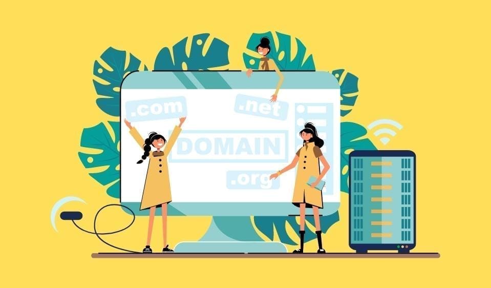 Wordpress website development