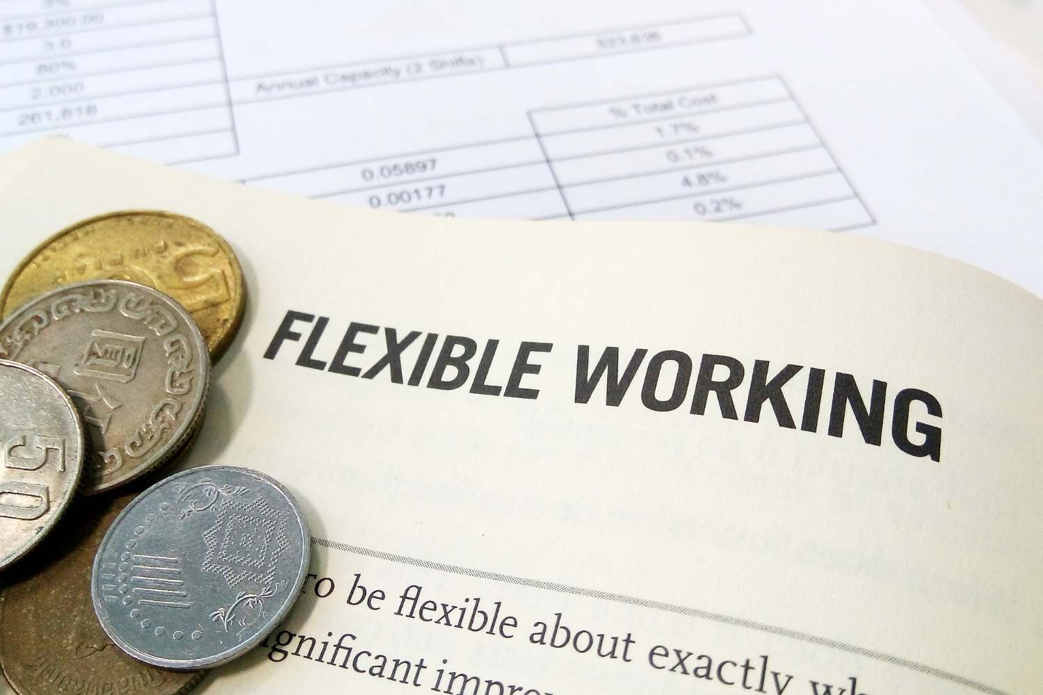 Flexibility and Productivity in Business Functions