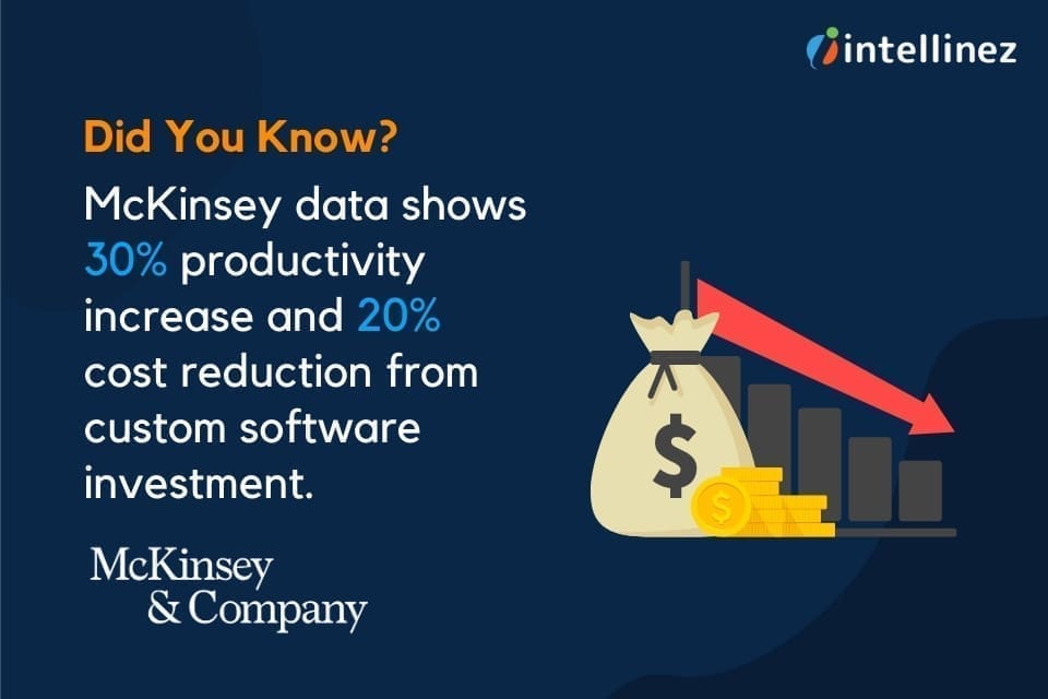 custom software development