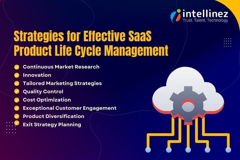 SaaS product life cycle management best strategies