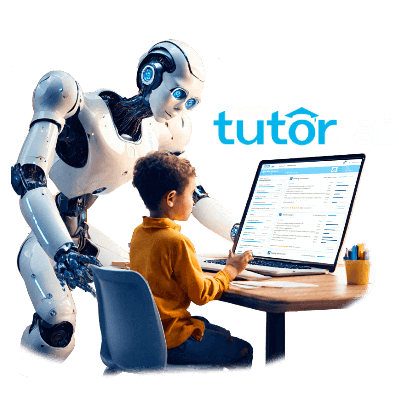 meratutor 1 banner-image